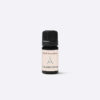 Wellness Essentials - Transform - Image 3