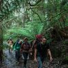 1-day Wild Wellness Fire and Ice Walk - Image 2
